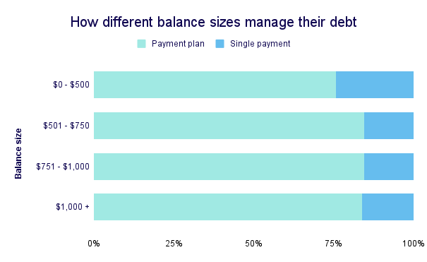How different balance sizes manage their debt